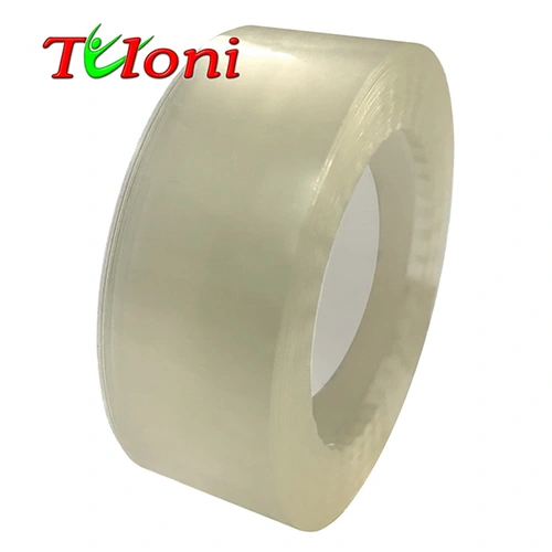 Transparent Tape TULONI - SCOTCH (1,9cm x 30m)