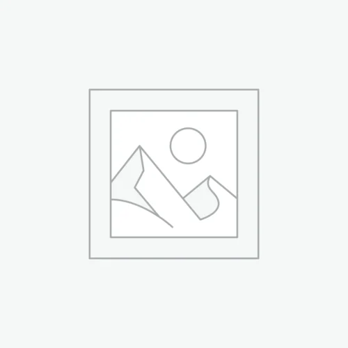 DPD Delivery of goods